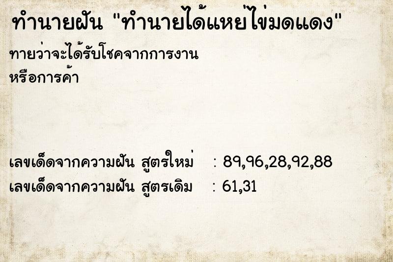 ทำนายฝันทำนายได้แหย่ไข่มดแดง ทำนายฝันทำนายฝันทำนายได้แหย่ไข่มดแดง