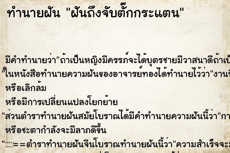 ทำนายฝันทำนายฝันฝันถึงจับตั๊กกระแตน