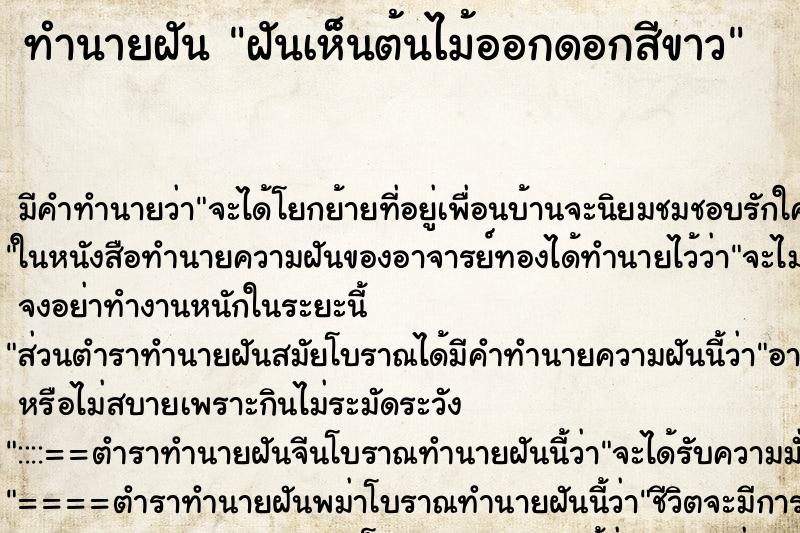 ทำนายฝัน ฝันเห็นต้นไม้ออกดอกสีขาว ทำนายฝัน ฝันเห็นต้นไม้ออกดอกสีขาว
