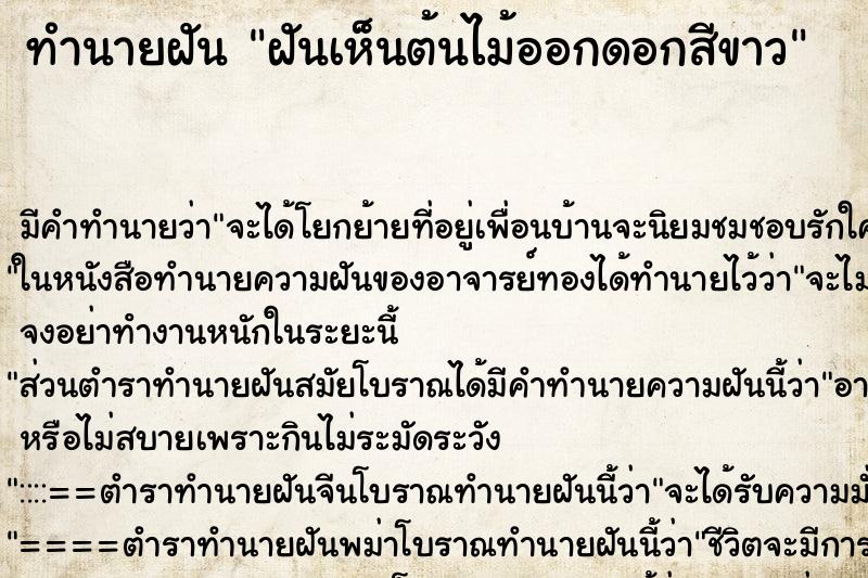 ทำนายฝัน ฝันเห็นต้นไม้ออกดอกสีขาว ตำราโบราณ แม่นที่สุดในโลก