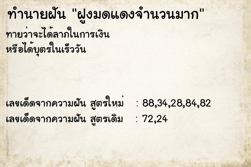ทำนายฝันทำนายฝันฝูงมดแดงจำนวนมาก