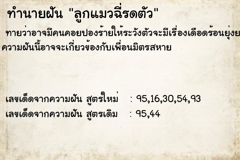ทำนายฝัน ลูกแมวฉี่รดตัว