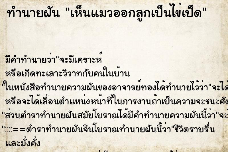 ทำนายฝัน เห็นแมวออกลูกเป็นไข่เป็ด ตำราโบราณ แม่นที่สุดในโลก