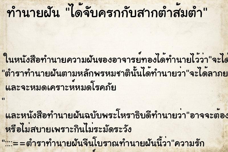 ทำนายฝัน ได้จับครกกับสากตำส้มตำ ทำนายฝัน ได้จับครกกับสากตำส้มตำ