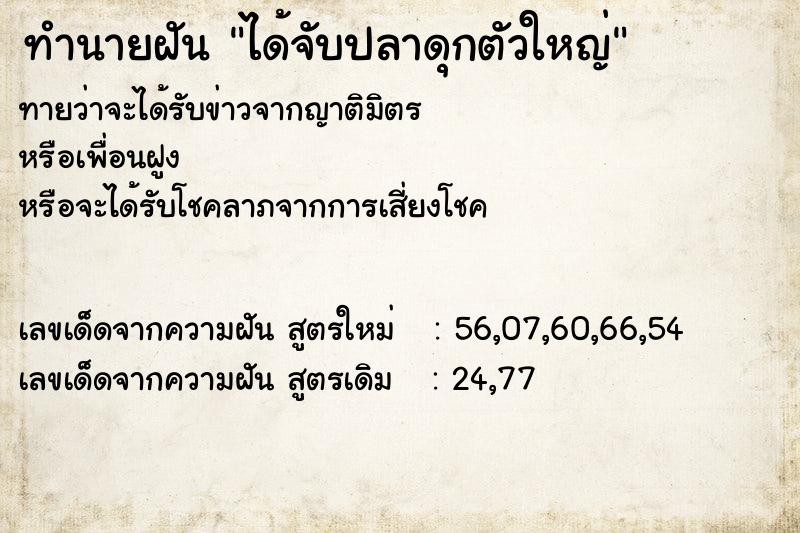 ทำนายฝัน ได้จับปลาดุกตัวใหญ่
