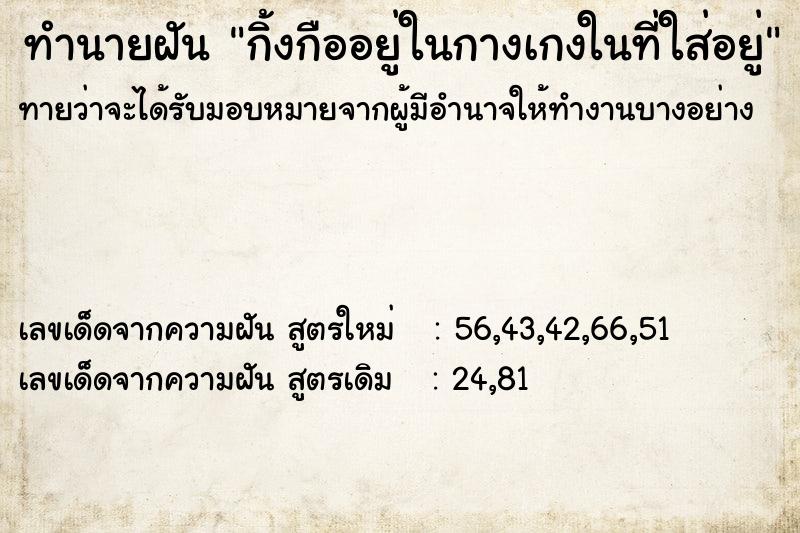 ทำนายฝันกิ้งกืออยู่ในกางเกงในที่ใส่อยู่ ทำนายฝันทำนายฝันกิ้งกืออยู่ในกางเกงในที่ใส่อยู่