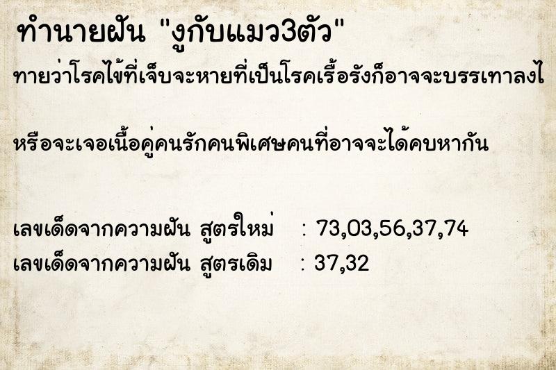 ทำนายฝัน งูกับแมว3ตัว ทำนายฝัน งูกับแมว3ตัว