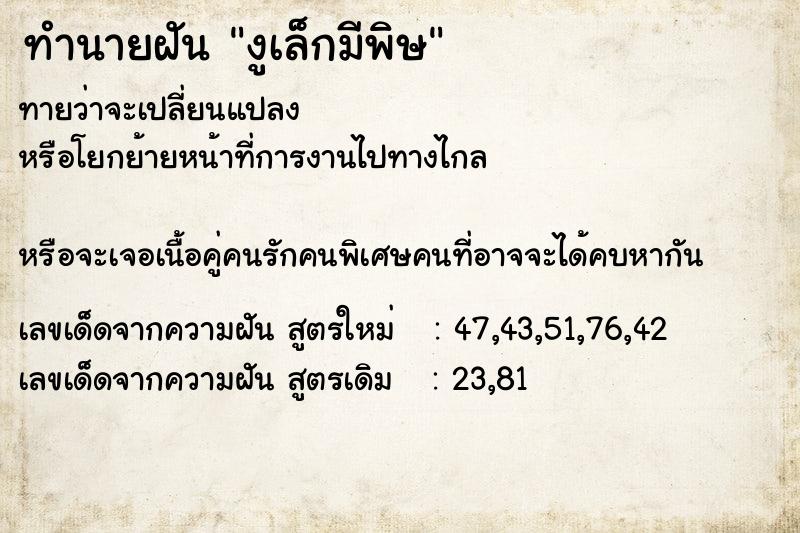 ทำนายฝัน งูเล็กมีพิษ ทำนายฝัน งูเล็กมีพิษ