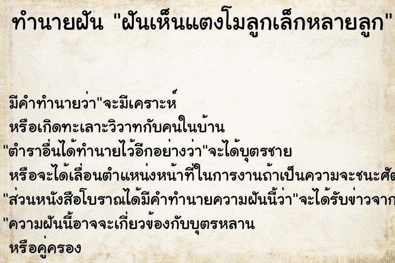 ทำนายฝันฝันเห็นแตงโมลูกเล็กหลายลูก ทำนายฝันทำนายฝันฝันเห็นแตงโมลูกเล็กหลายลูก