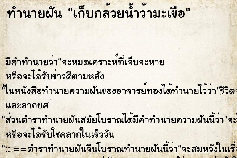 ทำนายฝันเก็บกล้วยน้ำว้ามะเขือ ทำนายฝันทำนายฝันเก็บกล้วยน้ำว้ามะเขือ