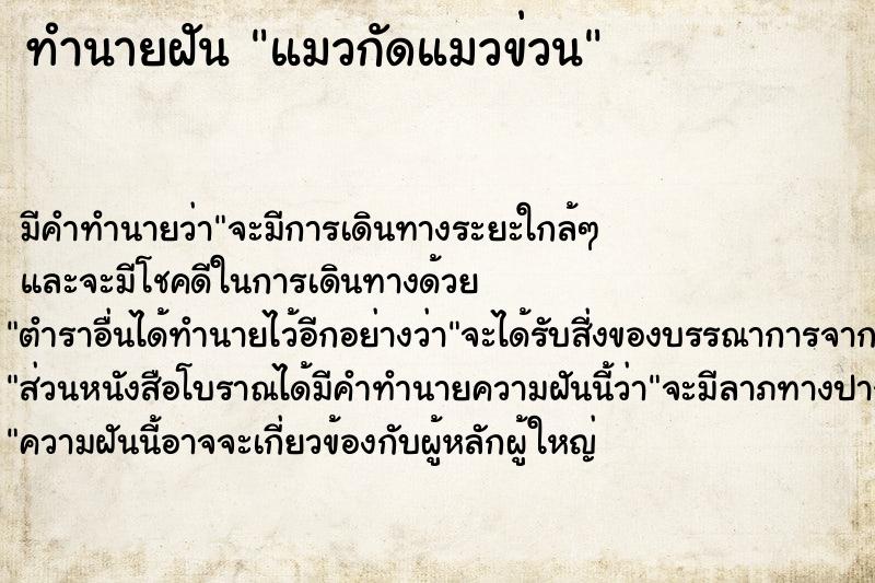 ทำนายฝัน แมวกัดแมวข่วน
