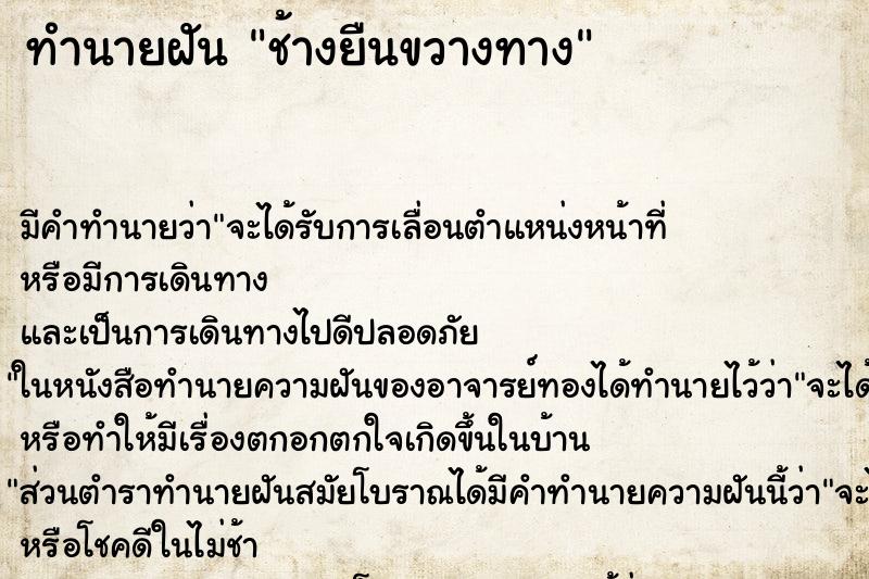 ทำนายฝัน ช้างยืนขวางทาง ทำนายฝัน ช้างยืนขวางทาง