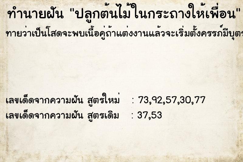 ทำนายฝันปลูกต้นไม้ในกระถางให้เพื่อน ทำนายฝันทำนายฝันปลูกต้นไม้ในกระถางให้เพื่อน