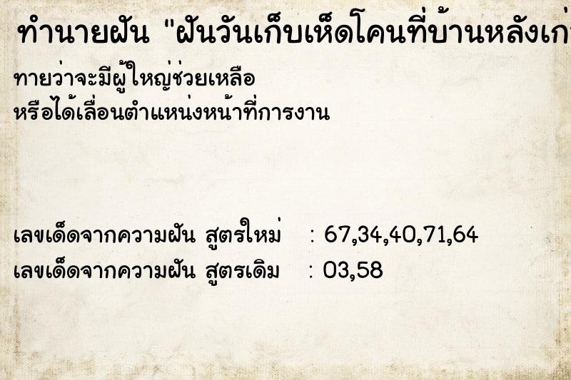 ทำนายฝันฝันวันเก็บเห็ดโคนที่บ้านหลังเก่า ทำนายฝันทำนายฝันฝันวันเก็บเห็ดโคนที่บ้านหลังเก่า