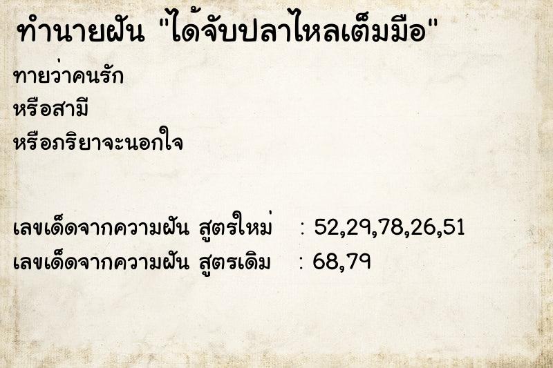 ทำนายฝันได้จับปลาไหลเต็มมือ ทำนายฝันทำนายฝันได้จับปลาไหลเต็มมือ