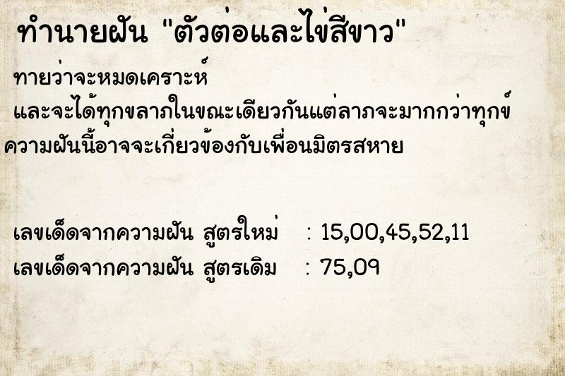 ทำนายฝันตัวต่อและไข่สีขาว ทำนายฝันทำนายฝันตัวต่อและไข่สีขาว