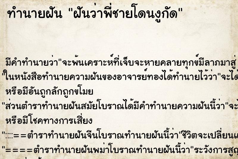 ทำนายฝัน ฝันว่าพี่ชายโดนงูกัด