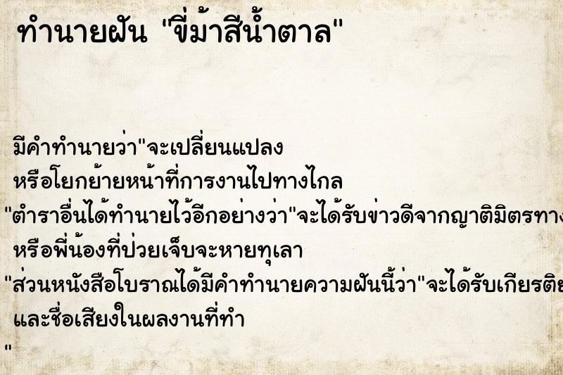 ทำนายฝันขี่ม้าสีน้ำตาล ทำนายฝันทำนายฝันขี่ม้าสีน้ำตาล