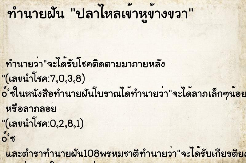 ทำนายฝันปลาไหลเข้าหูข้างขวา ทำนายฝันทำนายฝันปลาไหลเข้าหูข้างขวา