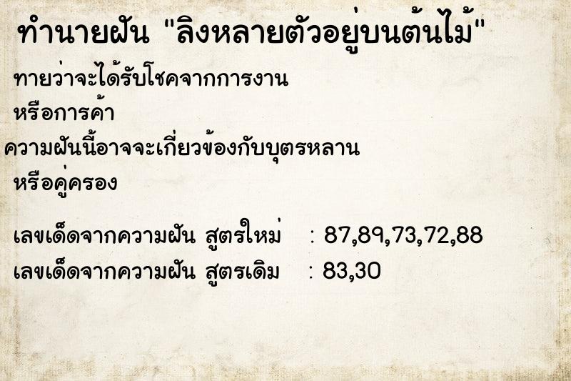 ทำนายฝันทำนายฝันลิงหลายตัวอยู่บนต้นไม้