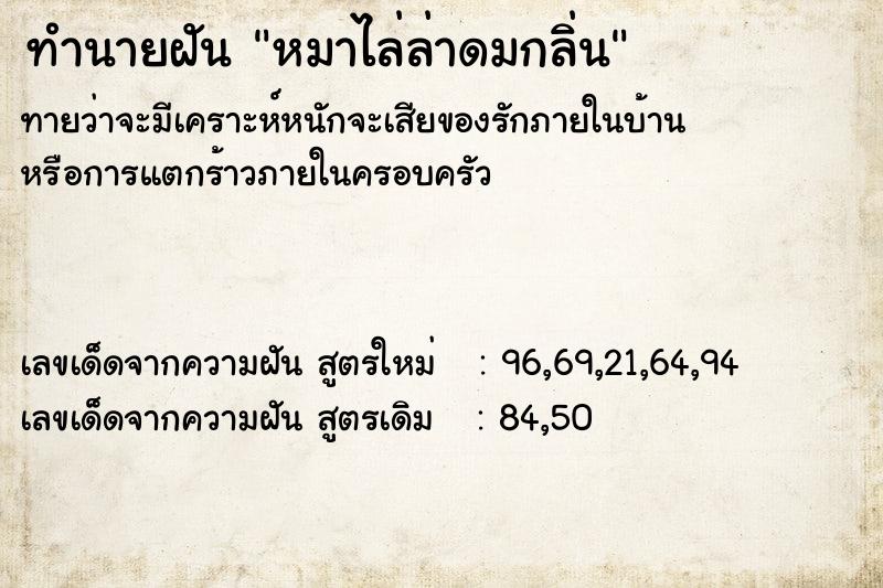 ทำนายฝันทำนายฝันหมาไล่ล่าดมกลิ่น