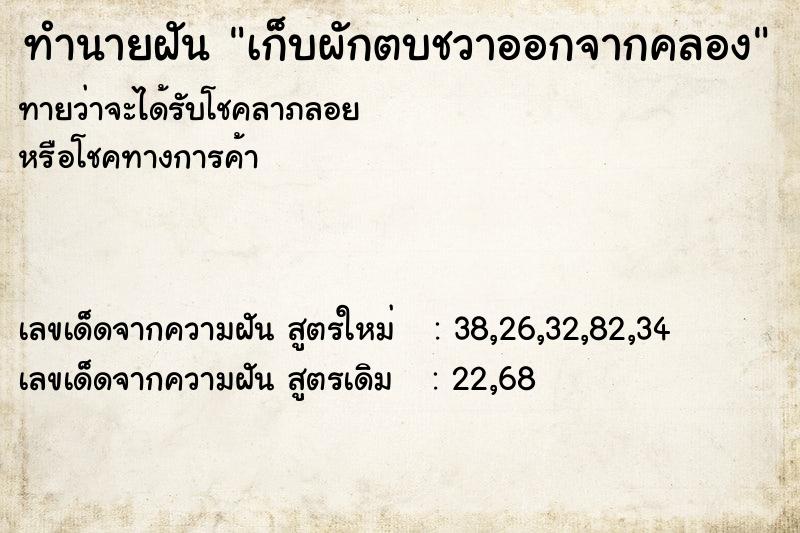 ทำนายฝันเก็บผักตบชวาออกจากคลอง ทำนายฝันทำนายฝันเก็บผักตบชวาออกจากคลอง