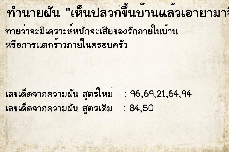 ทำนายฝันเห็นปลวกขึ้นบ้านแล้วเอายามาฉีดฆ่าปลวก ทำนายฝันทำนายฝันเห็นปลวกขึ้นบ้านแล้วเอายามาฉีดฆ่าปลวก