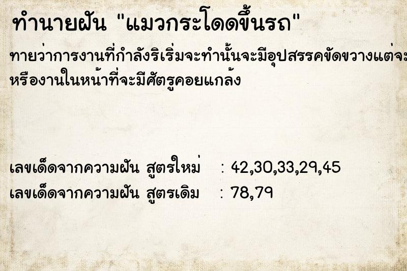 ทำนายฝันทำนายฝันแมวกระโดดขึ้นรถ