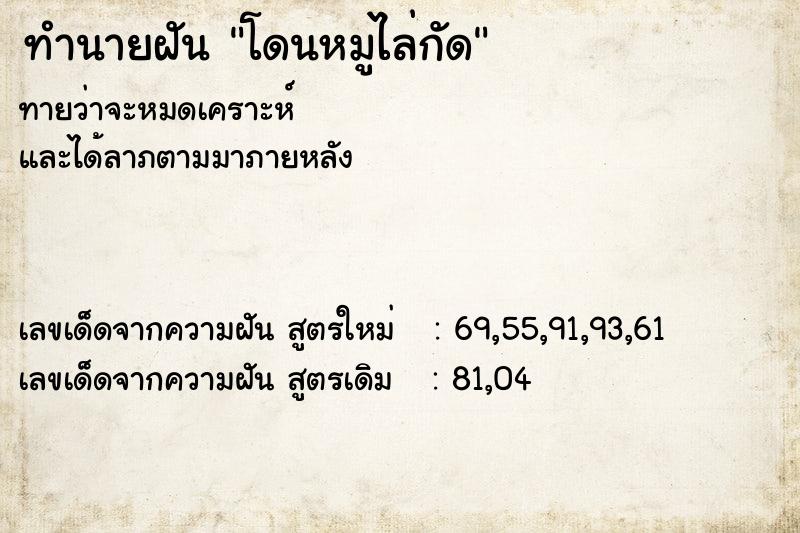 ทำนายฝันทำนายฝันโดนหมูไล่กัด