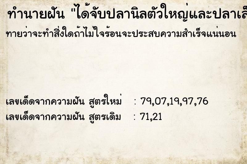 ทำนายฝันได้จับปลานิลตัวใหญ่และปลาเล็ก ทำนายฝันทำนายฝันได้จับปลานิลตัวใหญ่และปลาเล็ก