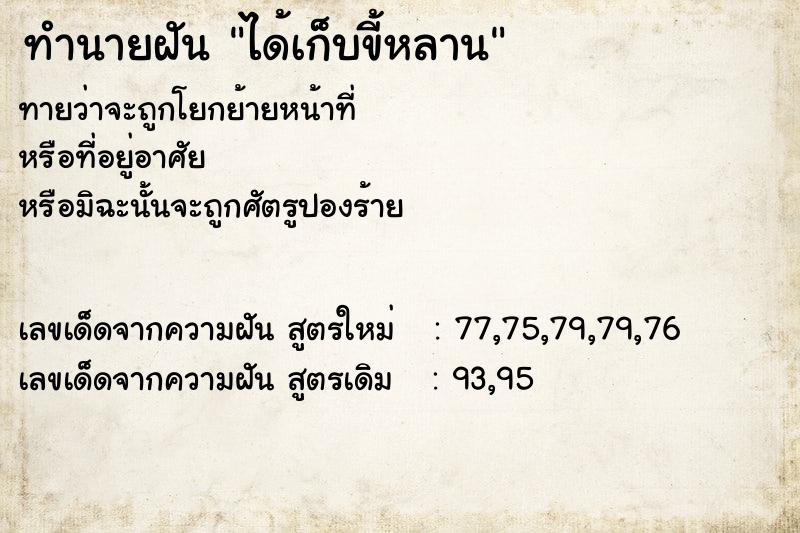 ทำนายฝันทำนายฝันได้เก็บขี้หลาน