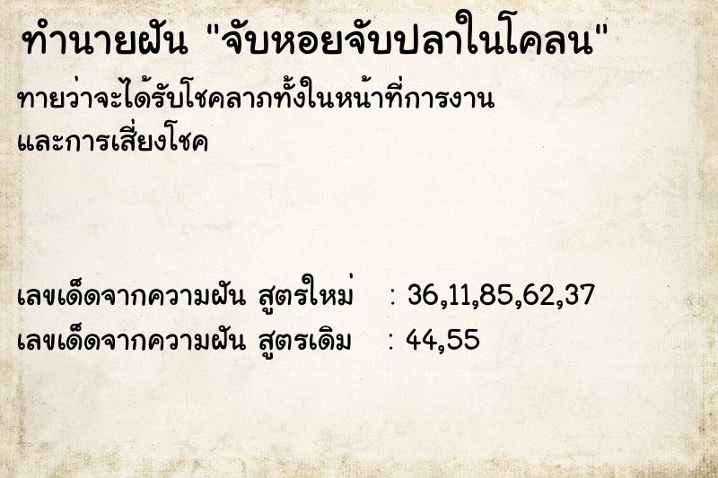 ทำนายฝัน จับหอยจับปลาในโคลน ตำราโบราณ แม่นที่สุดในโลก