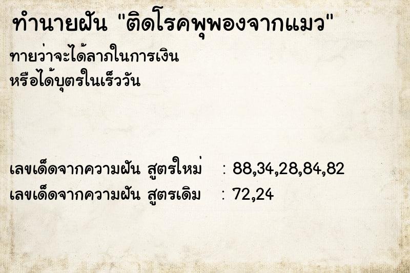 ทำนายฝันติดโรคพุพองจากแมว ทำนายฝันทำนายฝันติดโรคพุพองจากแมว