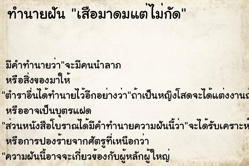 ทำนายฝัน เสือมาดมแต่ไม่กัด ทำนายฝัน เสือมาดมแต่ไม่กัด