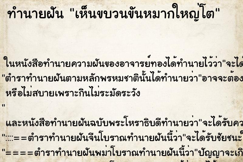 ทำนายฝันเห็นขบวนขันหมากใหญ่โต ทำนายฝันทำนายฝันเห็นขบวนขันหมากใหญ่โต