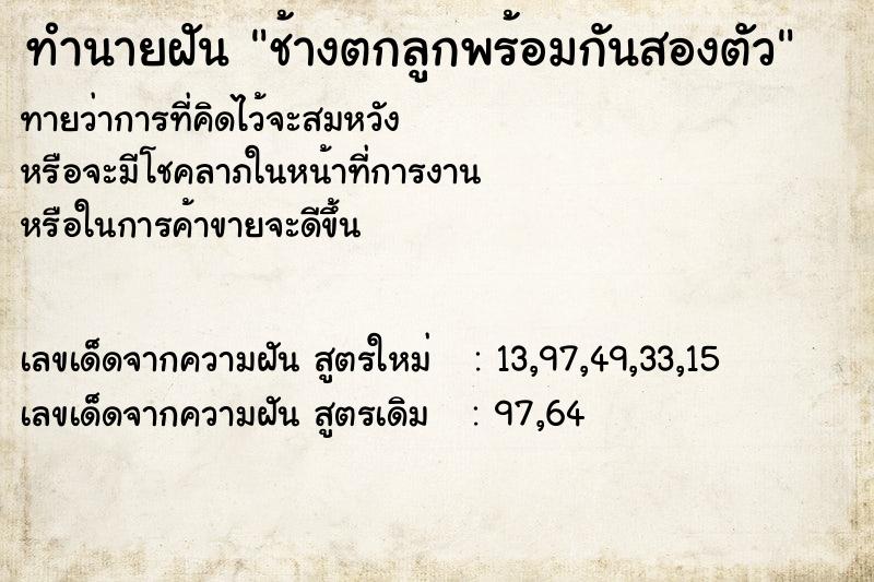 ทำนายฝันช้างตกลูกพร้อมกันสองตัว ทำนายฝันทำนายฝันช้างตกลูกพร้อมกันสองตัว