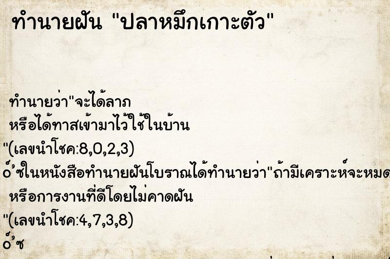 ทำนายฝัน ปลาหมึกเกาะตัว ทำนายฝัน ปลาหมึกเกาะตัว