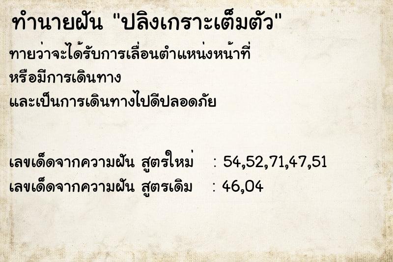 ทำนายฝันปลิงเกราะเต็มตัว ทำนายฝันทำนายฝันปลิงเกราะเต็มตัว
