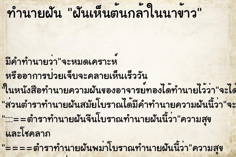 ทำนายฝัน ฝันเห็นต้นกล้าในนาข้าว ทำนายฝัน ฝันเห็นต้นกล้าในนาข้าว