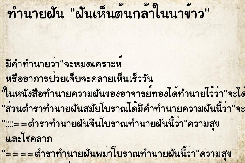 ทำนายฝัน ฝันเห็นต้นกล้าในนาข้าว ตำราโบราณ แม่นที่สุดในโลก