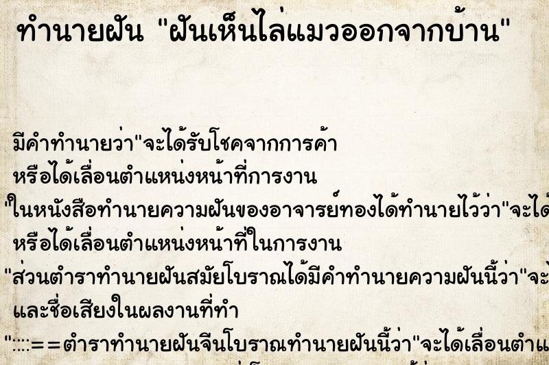 ทำนายฝัน ฝันเห็นไล่แมวออกจากบ้าน ตำราโบราณ แม่นที่สุดในโลก