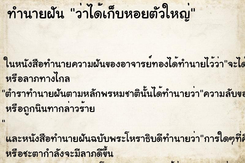 ทำนายฝันทำนายฝันว่าได้เก็บหอยตัวใหญ่