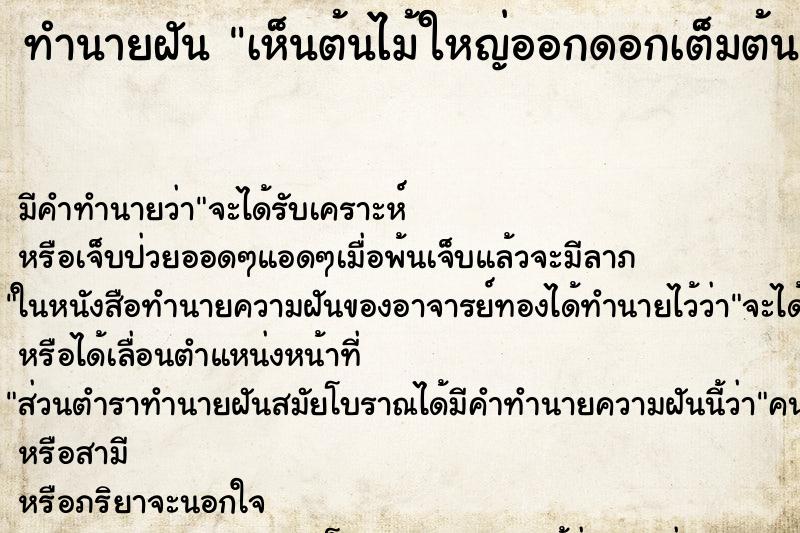 ทำนายฝัน เห็นต้นไม้ใหญ่ออกดอกเต็มต้น ทำนายฝัน เห็นต้นไม้ใหญ่ออกดอกเต็มต้น