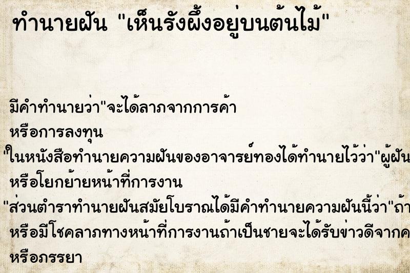 ทำนายฝัน เห็นรังผึ้งอยู่บนต้นไม้ ทำนายฝัน เห็นรังผึ้งอยู่บนต้นไม้