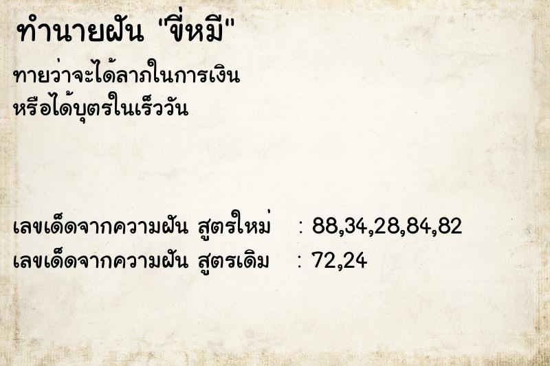 ทำนายฝันทำนายฝันขี่หมี