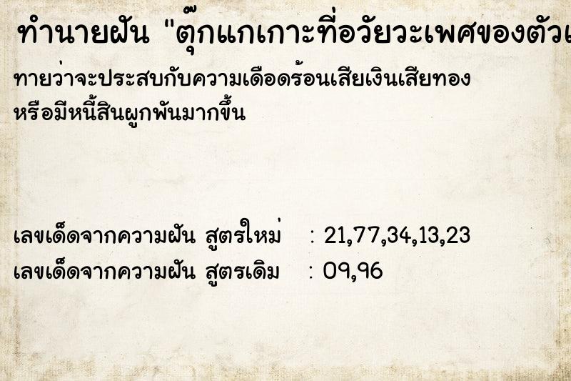 ทำนายฝันทำนายฝันตุ๊กแกเกาะที่อวัยวะเพศของตัวเอง