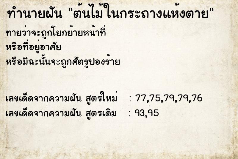 ทำนายฝัน ต้นไม้ในกระถางแห้งตาย ทำนายฝัน ต้นไม้ในกระถางแห้งตาย