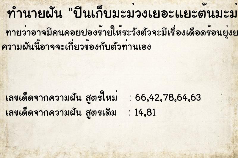 ทำนายฝันปีนเก็บมะม่วงเยอะแยะต้นมะม่วงมีมดแดงแต่ไม่กัด ทำนายฝันทำนายฝันปีนเก็บมะม่วงเยอะแยะต้นมะม่วงมีมดแดงแต่ไม่กัด