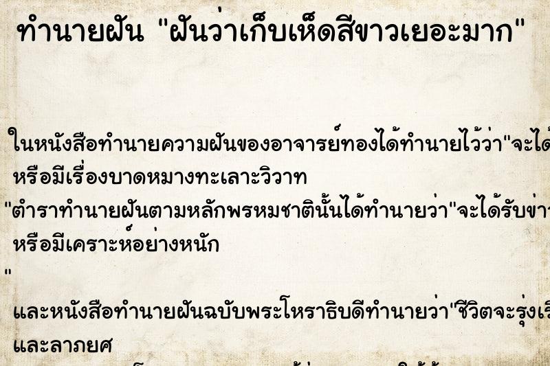 ทำนายฝันฝันว่าเก็บเห็ดสีขาวเยอะมาก ทำนายฝันทำนายฝันฝันว่าเก็บเห็ดสีขาวเยอะมาก