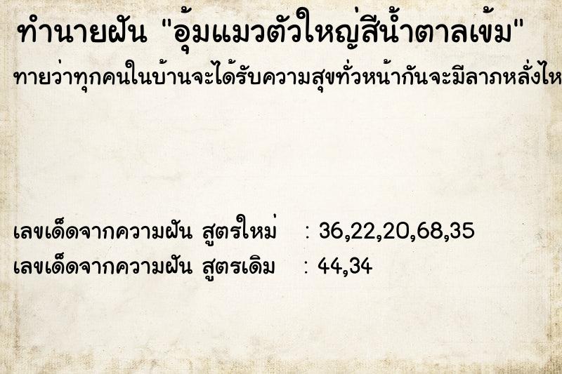 ทำนายฝันทำนายฝันอุ้มแมวตัวใหญ่สีน้ำตาลเข้ม